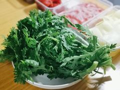 野生茼蒿-蜀大侠火锅(建设路第五大道店)