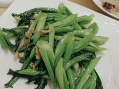 -锦粤宫·精致粤菜(深圳北站店)