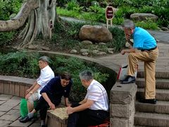 -成都市活水公园