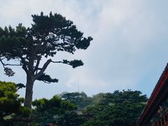 -妙峰山风景名胜区