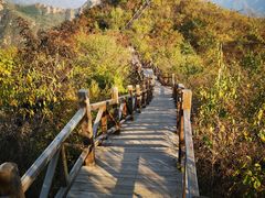 -大岭沟猕猴桃谷风景区