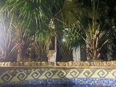 -三亚海棠湾南田温泉神龙谷