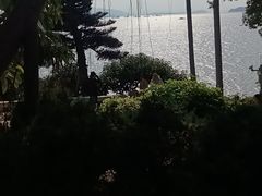 -鼓浪屿钢琴博物馆