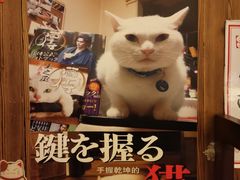 -坂吉屋·居酒屋深夜食堂(龙湖店)