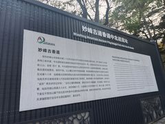 -阳台山自然风景区