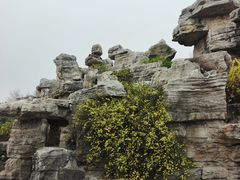 -石家庄市植物园
