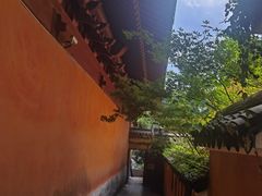-天台山景区
