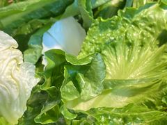 -陈大锅·岳阳鱼馆·地道岳阳菜(美食街店)