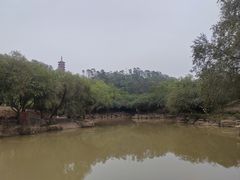 -大雁山风景区