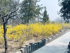 -白水寺森林公园