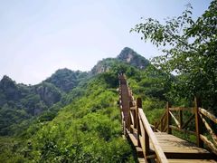 -大岭沟猕猴桃谷风景区