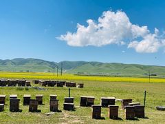 -青海湖国家重点风景名胜区