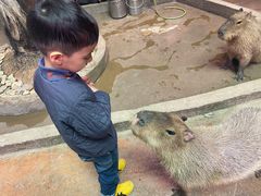 -正佳雨林生态植物园
