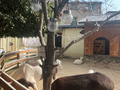 -HERRE·FARM 赫尔露营农场·团建聚会包场