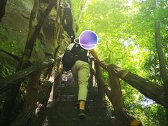 -黎坪国家森林公园