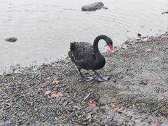-世纪公园-1号门停车场