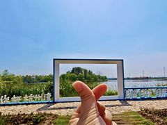 -杭州湾海上花田景区