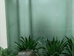 -成都中升之星奔驰4S店