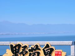 -野菌皇海景野生菌火锅(滨海大道店)