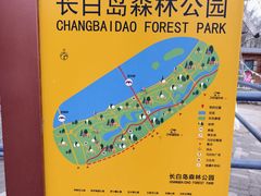 -长白岛森林公园