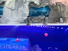 -华夏文旅海洋公园