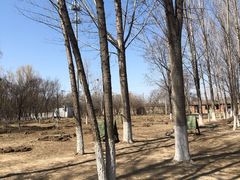 -亲兄弟真人CS团建拓展基地