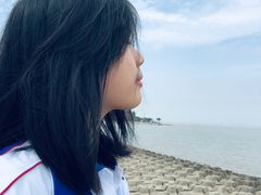 -野狸岛