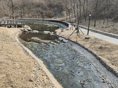 -白水寺森林公园