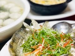 -肥弟大排档(汕樟路店)
