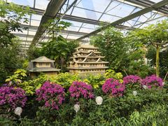 -南宫五洲植物乐园