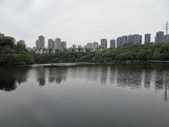 -重庆彩云湖湿地公园