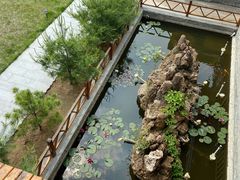 -大连步云山老汤度假山庄