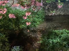 -牛カツ京都勝牛(河原町蛸薬師店)