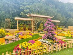 -上海共青森林公园