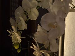 -Dragonfly悠庭·按摩Spa(新乐路店)