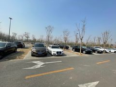 -爪吧宠物乐园·宠物泳池(温榆河示范区店)