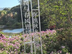 -云溪植物园