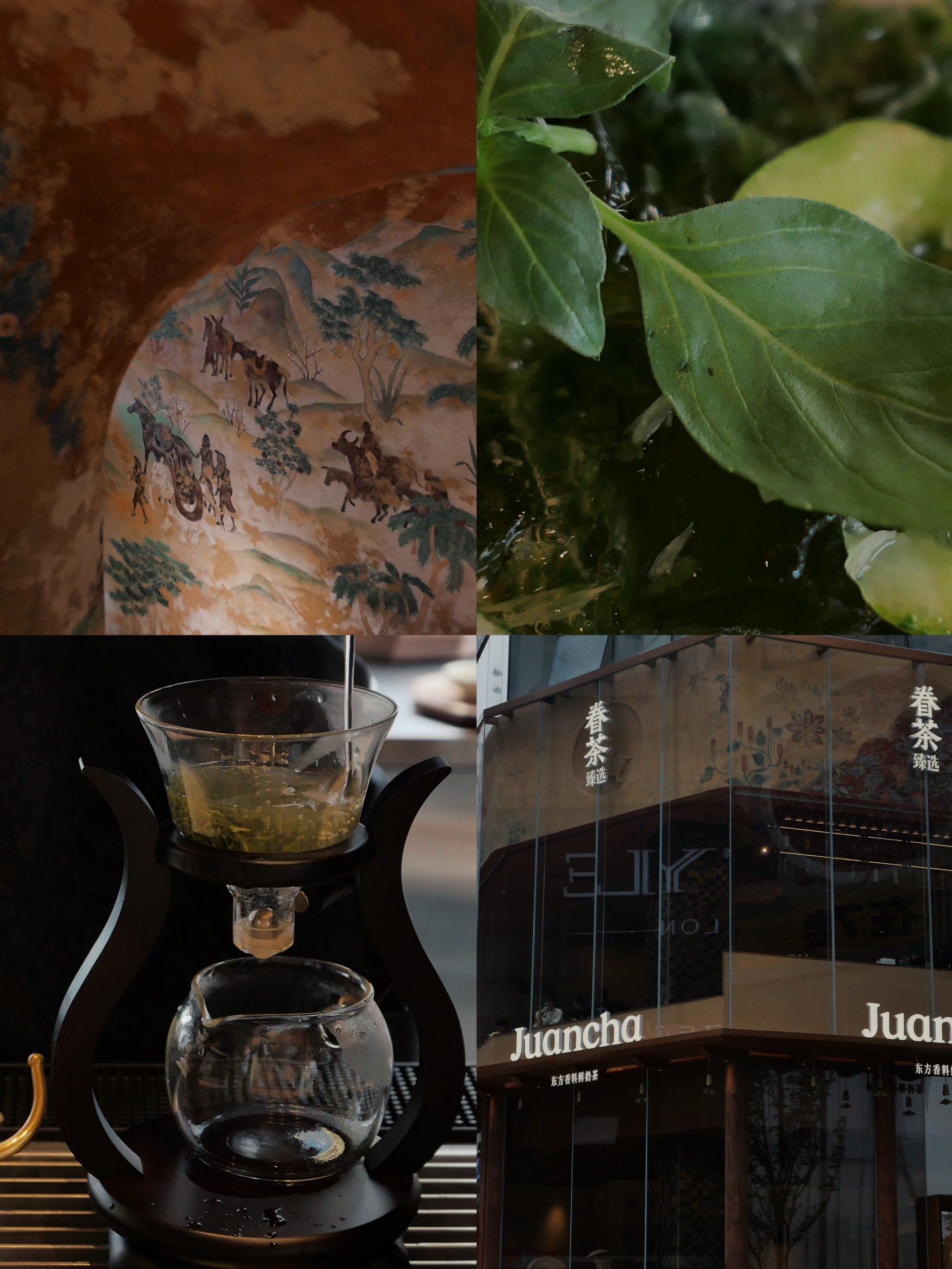 来河南旅游|要喝杯荆芥茶