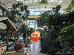 -郑州银基黄帝宫御温泉