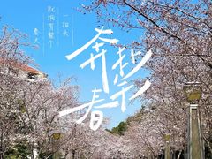 -苏宁钟山国际高尔夫酒店大堂酒廊