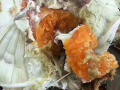 -三乐海鲜水饺馆