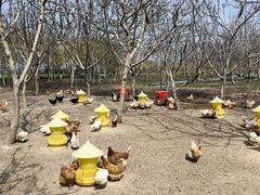 -兴芮温泉度假区