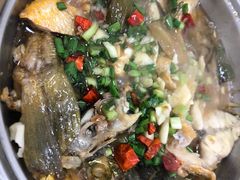 黄花鱼-梅子大排档