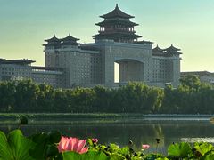 -莲花池公园