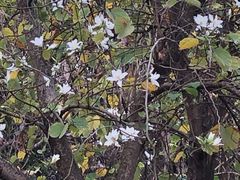 -南国桃园旅游度假区