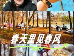 -上海海湾国家森林公园