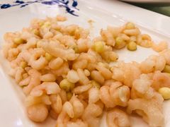 -同济大酒店(绿宝广场店)