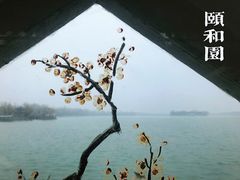 -颐和园