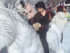 -沈阳奥体冰雪嘉年华