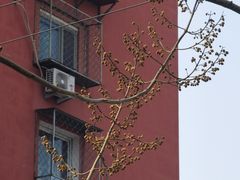 -丰台科技园生态主题公园